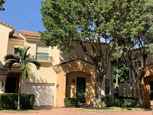 Arbor Green